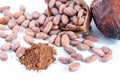 Cocoa beans and cocoa fruit on white