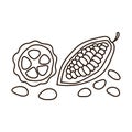 Cocoa beans. Cocoa pod, fruit and grains isolated on a white background. Packaging design, logo, coloring pages. Hand drawn Vector Royalty Free Stock Photo