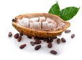 Cocoa beans with cocoa pod isolated on white background Royalty Free Stock Photo