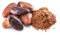 Cocoa beans and cocoa powder close-up on white background Royalty Free Stock Photo