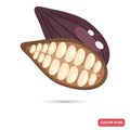 Cocoa beans color flat icon