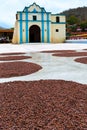 Cocoa beans drying in the courtyard of the chuao church Aragua state Venezuela