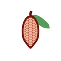 cocoa beans flat design vector illustration