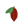 cocoa beans flat design vector illustration