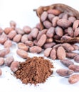 Cocoa beans and cocoa fruit on white