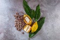 Cocoa Beans and Cacao Fruits with raw cacao