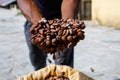 Cocoa beans in the hands of a farmer on the background of bags.