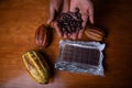 Cocoa beans held in the hand by a farmer, next to cocoa pods and a table of chocolate, chocolate making process Royalty Free Stock Photo