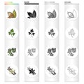 Cocoa beans, a leaf of a herb of a dill, a parsley, spice vanilla. Herbs and spices set collection icons in cartoon Royalty Free Stock Photo