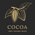Cocoa beans with leaves on dark background. Cacao logo. Vector illustration.