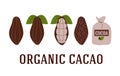 Cocoa beans, organic chocolate. Set of isolated vector illustrations in flat style