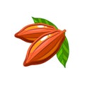 Cocoa beans packaging design. Vector flat icon