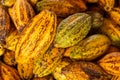 Cocoa beans and cocoa pod Royalty Free Stock Photo