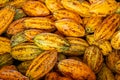 Cocoa beans and cocoa pod Royalty Free Stock Photo