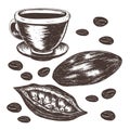 Cocoa beans, cocoa pod, cup of cocoa vector Royalty Free Stock Photo