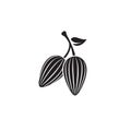 Cocoa beans on pod with leaf for drinks and baking, drawing silhouette, cocoa icon simple isolated illustration on white Royalty Free Stock Photo