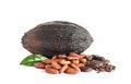 Cocoa beans, pod and leaf isolated Royalty Free Stock Photo