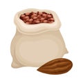 Cocoa Beans Poured in Sack as Aromatic Chocolate Ingredient Vector Illustration