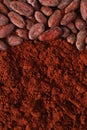 Cocoa beans and powder background