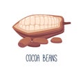 Cocoa Beans Are The Seeds Of The Cacao Tree, Used To Make Chocolate, And Contain Cocoa Solids And Cocoa Butter