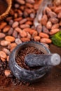 Cocoa beans in stone mortar Royalty Free Stock Photo