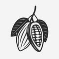 Cocoa Beans vintage icon.