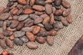 Cocoa beans