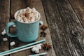 Cocoa in a blue mug with marshmallows