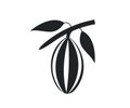 Cocoa branch logo design. Various of Fresh cocoa fruits with half sliced and leaf vector design and illustration.