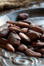 Cocoa (cacao) beans Royalty Free Stock Photo