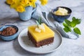 Cocoa cake with creamy pineapple pudding layer, topped with pineapple slices Royalty Free Stock Photo