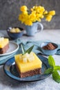 Cocoa cake with creamy pineapple pudding layer, topped with pineapple slices Royalty Free Stock Photo