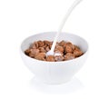 Cocoa crunch cornflakes with milk on white background