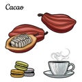 Cocoa. A Cup of hot cocoa-milk drink. Cocoa beans. Macaroon. Chocolate. Royalty Free Stock Photo