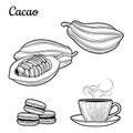 Cocoa. A Cup of hot cocoa-milk drink. Cocoa beans. Macaroon. Chocolate. Royalty Free Stock Photo