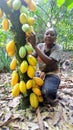 Cocoa farmer in the South west caleroon Royalty Free Stock Photo
