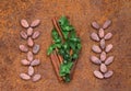 Cocoa flat lay concept with raw cocoa beans , leaf of mint and twig of cinnamon as ingredien for recipe on iron background