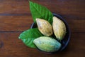 Cocoa Fruit in Monggo Chocolate Museum Royalty Free Stock Photo