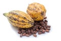 Cocoa fruit, raw cacao beans, Cocoa pod isolated on white background Royalty Free Stock Photo