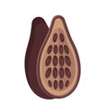 Cocoa fruit.