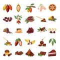 Cocoa icons set cartoon vector. Chocolate leaf