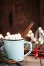 Cocoa with Marshmallows and Cinnamon Bark Royalty Free Stock Photo