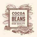 Cocoa plant with leaves. Cacao tree background. Sweet chocolate packaging vector design