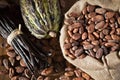 Cocoa pod and beans Royalty Free Stock Photo