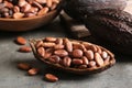 Cocoa pod of beans on grey Royalty Free Stock Photo