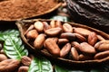 Cocoa pod with beans and leaves, Royalty Free Stock Photo