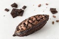 Cocoa pod with cocoa beans and pieces of chocolate on a white background. Organic food. Natural chocolate. Side view. chocolatier