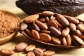 Cocoa pod of beans and powder on table Royalty Free Stock Photo