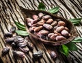 Cocoa pod and cocao beans. Royalty Free Stock Photo