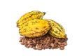 Cocoa pod, Cocoa beans, cocoa powder on a white background Royalty Free Stock Photo